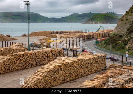 Radiata Pine Logs Monterey Pine (Pinus insignis), Dunedin Port Neuseeland bereit für den Export Neuseeland ist der größte Exporteur von Holzholzholz Stockfoto