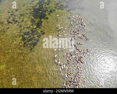 Tägliches Leben in der Provinz Binh Dinh in Zentralvietnam Stockfoto