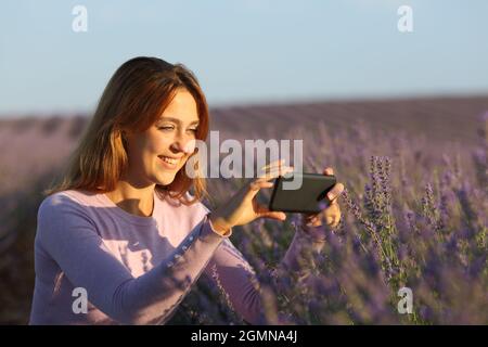 Glückliche Frau, die bei Sonnenuntergang mit dem Smartphone im Lavendelfeld fotografiert Stockfoto