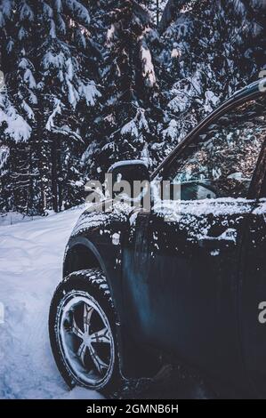Ein Auto mit großen Rädern bahnt sich seinen Weg durch die Schneeverwehungen. Großes Profil aus überwintertem Gummi, beißt in den Schnee. Die Straße durch den Winter für Stockfoto