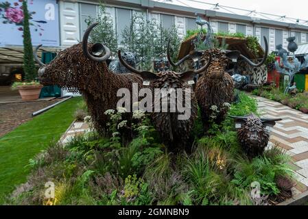 London, Großbritannien. 20. September 2021. Metallkühe auf der RHS Chelsea Flower Show. Aufgrund von Covid-19-Bedenken im vergangenen Jahr abgesagt, ist dies das erste Mal, dass die Show im September (in der Regel im Mai) stattfindet. Die Show läuft bis zum 26. September im Royal Hospital Chelsea. Kredit: Stephen Chung / Alamy Live Nachrichten Stockfoto