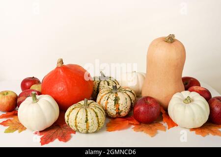 Alles Gute Zum Erntedankfest. Auswahl verschiedener Kürbisse und fallender Blätter auf weißem Tisch, Grußkarte. Stockfoto