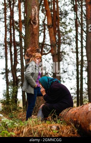 Unschärfe-Seitenansicht von zwei Frauen, die im Pinienwald spazieren und auf einem Baumstamm sitzen. Freizeit- und Menschenkonzept, Mutter und Tochter im Herbstwald. Menschen Stockfoto