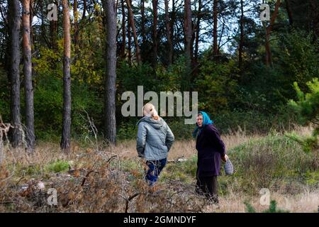 Unschärfe-Effekte von zwei Frauen, die im Kiefernwald spazieren, nach hinten und von der Seite. Pilze sammeln Saison, Freizeit und Menschen Konzept, Mutter und Tochter zu Fuß in fa Stockfoto