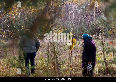 Unschärfe-Effekte von zwei Frauen, die im Kiefernwald spazieren, nach hinten und von der Seite. Pilzsammlungssaison, Freizeit und Menschen Konzept, Mutter und Tochter zu Fuß in au Stockfoto