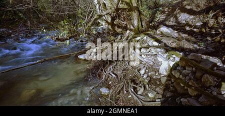 Sieve River Mugello Valley, Toskana, Wildnis Stockfoto