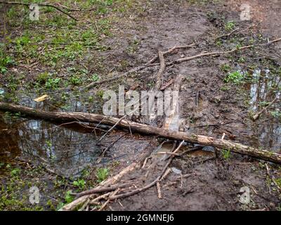 Schmutzige Schotterstraße durch den Park im Frühjahr, Moskau Stockfoto