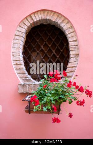 Haus von Garbagna, historische Stadt in der Provinz Alessandria, Piemont, Italien. Fenster mit roten Blumen Stockfoto