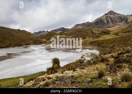 Toreadora-See im Nationalpark von cayas, Ecuador Stockfoto