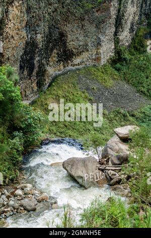 Streem fällt als Wasserfall in Ecuador Stockfoto