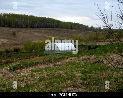 Gewächshaus aus Polycorbanat im Garten, im Frühjahr Stockfoto