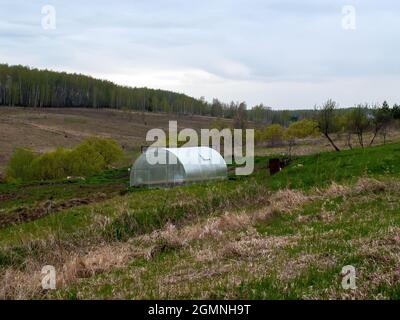 Gewächshaus aus Polycorbanat im Garten, im Frühjahr Stockfoto