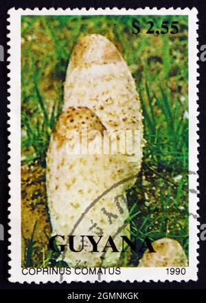 GUYANA - UM 1990: Eine in Guyana gedruckte Marke zeigt Shaggy Mane, Coprinus Comatus, Mushroom, um 1990 Stockfoto