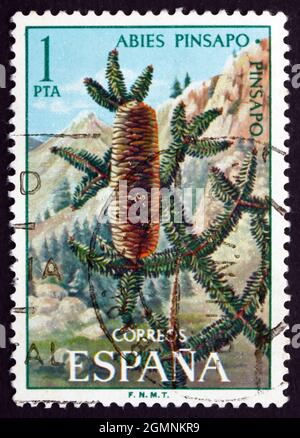 SPANIEN - UM 1972: Eine in Spanien gedruckte Marke zeigt spanische Fir, Abies Pinsapo, Evergreen Tree, um 1972 Stockfoto