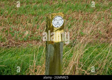 Öffentliches Wegweiser auf einer Rundpfeile mit Pfeil auf weißem Hintergrund, montiert auf einem Holzpfosten, der nach links und rechts zeigt. Stockfoto