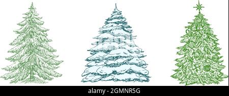 Handgezeichnete Weihnachtsbaum Farbe Vektor Illustrationen Set. Sammlung „Abstract Pines Sketches“. Winter Holiday Engraving Style-Zeichnungen. Isoliert Stock Vektor