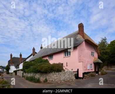 Ein hübsches Reethaus am Straßenrand in Otterton, einem malerischen kleinen Dorf im Otter Valley in East Devon, Südwestengland Stockfoto