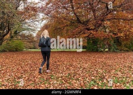 Rückansicht einer unkenntlichen Frau mit Rucksack, die in einer Herbstszene auf trockenen, auf das Gras gefallenen Blättern läuft. Konzept der Menschen und Herbst. Stockfoto