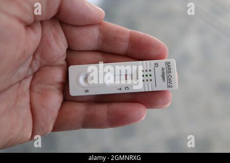 Negativer Coronavirus-Antigentest in der Handfläche. Stockfoto