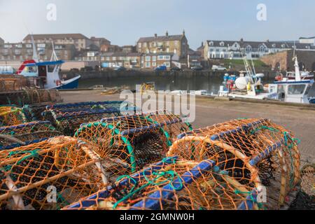 Hummertöpfe, Seahouses Harbour, Northumberland, Großbritannien Stockfoto