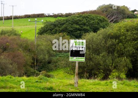 Wegweiser, Schild, Beschilderung, Grundstück zum Verkauf. Ardara, County Donegal, Irland Stockfoto