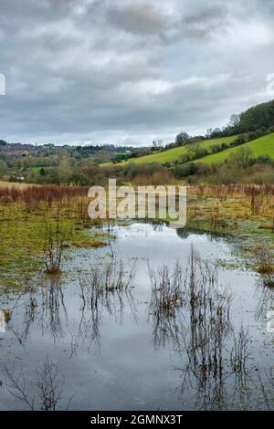 Wasserdurchflutet am Fluss Wye bei Tintern. Stockfoto