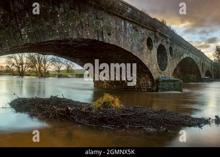 Pant-y-goitre Brücke über den Fluss Usk bei Llanvihangel Gobion, in der Nähe von Abergavenny. Stockfoto