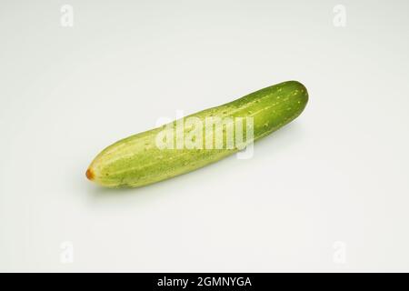 Ganze Gurke auf weißem Hintergrund Stockfoto