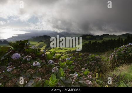 Landschaftsansicht von Miradouro do Pico do Carvao, Sao Miguel Insel, Azoren Stockfoto