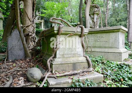 Überwucheres Grab auf dem highgate Friedhof West N6 North london england Großbritannien Stockfoto