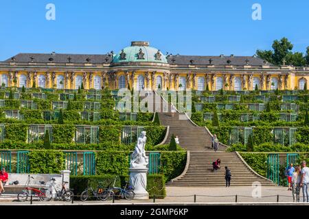 Potsdam, Deutschland - 6. August 2021: Schloss Sanssouci und Gärten im Park Sanssouci, Friedrich der große, Sommerresidenz des preußischen Königs aus dem 18. Jahrhundert, Stockfoto