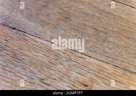 Detail auf altem Holz-Parkettboden. Heller Parkettboden aus Buchenholz. Stockfoto