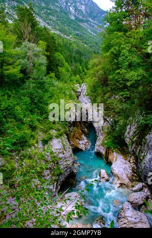 Soca-Schlucht im Triglav-Nationalpark, Slowenien, Europa Stockfoto