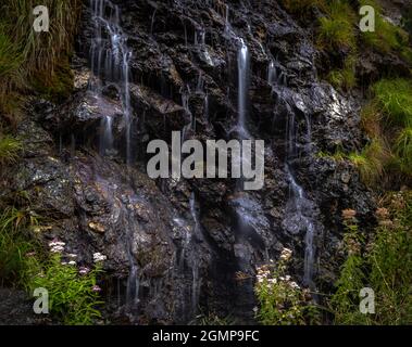 Der Wasserstrom fließt über Felsen in kleinen Wasserfall-Kaskaden. Waldwasserstrom, der über schwarze Felsen fließt. Fließender Bach. Stockfoto