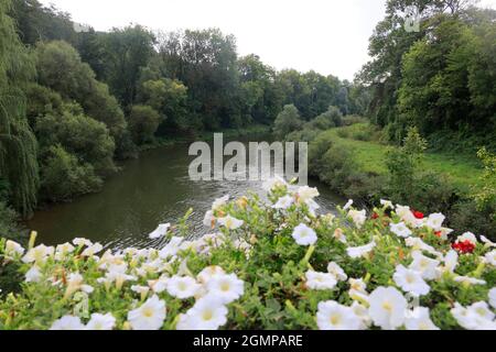 Der Fluss Kocher in Ernsbach, Hohenlohe, Baden-Württemberg, Deutschland, Europa Stockfoto