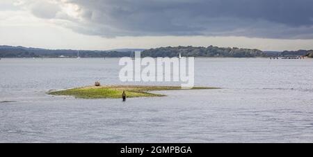 Einsamer Fischer, der am 19. September 2021 vor einer isolierten Landzunge in der Mitte von Poole Harbour, Poole, Dorset, Großbritannien, fischt Stockfoto