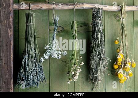 Verschiedene getrocknete Kräuter und Blumen vor rustikalem Hintergrund Stockfoto