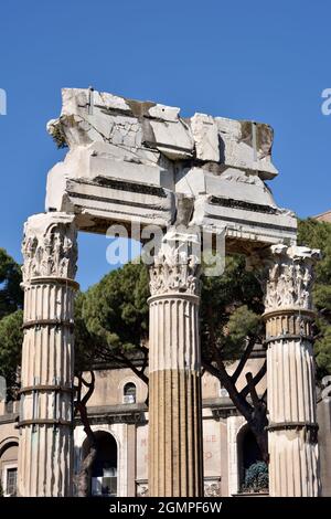 Italien, Rom, Caesars Forum, Tempel der Venus Genetrix Stockfoto