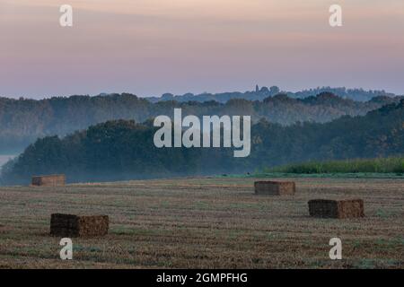 Blick auf die ländliche Sussex-Landschaft mit frühmorgendlichem Nebel im September Stockfoto