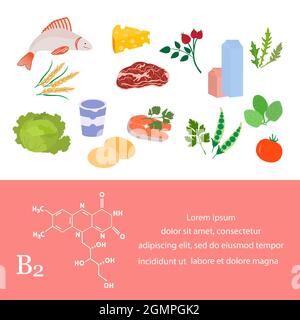 Vektor-Illustration Vitamin B2 Quellen. Gesunde Lebensmittel mit Riboflavin angereichert mit Vitaminen. Richtige natürliche Ernährung, dietetic Bio-Produkte Stock Vektor