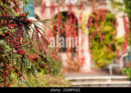 Herbstsaison in Wien Strudlhofstiege Treppenhaus Detail Stockfoto