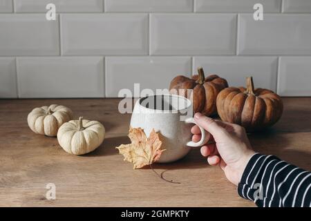 Stillleben im Herbst. Weibliche Hand in gestreiftem Hemd mit einer Tasse Kaffee. Grußkartenmockup mit Kürbissen und Ahornblatt. Holztisch Hintergrund in Stockfoto