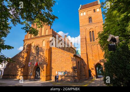 Kościół Nawiedzenia Najświętszej Marii Panny, Kirche der Heimsuchung der seligen Jungfrau Maria, Nowe Miasto, Neustadt, Warschau, Polen Stockfoto