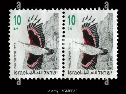 2 STÜCK IN Israel GEDRUCKTE STEMPELMARKEN zeigen das Bild des Wallcreeper. Stockfoto