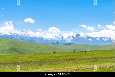 Hochplateau Assy in Kasachstan in der Nähe der Stadt Almaty. Blick auf die Hochgebirgssternwarte und grasende Tiere Stockfoto