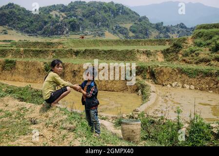 Sapa, Vietnam - 14. April 2016: Mädchen und Jungen gehen mit Büffeln auf dem Reisfeld. Vietnamesische Kinder im Dorf haben die Pflicht, sich um sie zu kümmern Stockfoto
