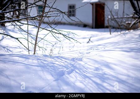 Altes ukrainisches authentisches Landhaus auf Hügelhütte im Dorf im Winter. Schnee bedeckte das Haus der Großmutter unter Bäumen. Ukrainische traditionelle Lerche Stockfoto