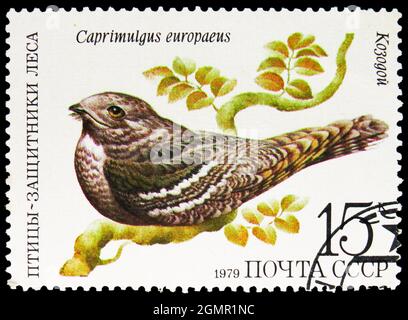 MOSKAU, RUSSLAND - 31. JULI 2021: Die in der UdSSR gedruckte Briefmarke zeigt den Europäischen Nachtschwalbe (Caprimulgus europaeus), Vogelserie, um 1979 Stockfoto