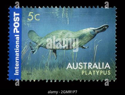 Die in Australien gedruckte Briefmarke zeigt das Bild des Platypus, um 2006. Stockfoto