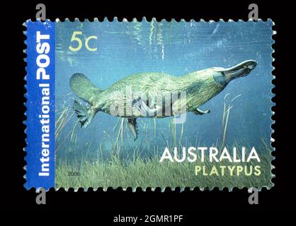 Die in Australien gedruckte Briefmarke zeigt das Bild des Platypus, um 2006. Stockfoto